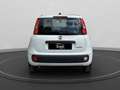 Fiat Panda 1.0 firefly hybrid s&s 70cv 5p.ti Bianco - thumbnail 4