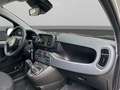 Fiat Panda 1.0 firefly hybrid s&s 70cv 5p.ti Bianco - thumbnail 15