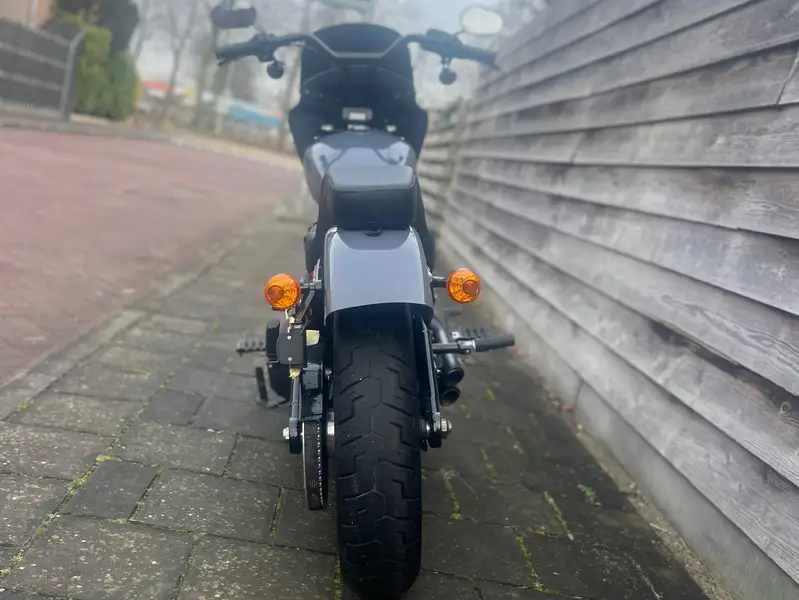 Harley-Davidson Street Bob - foto 4