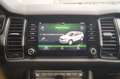 Skoda Kodiaq 1.5 TSI 150pk DSG 4x4 Scout Business -LEER-PANO- Vert - thumbnail 20