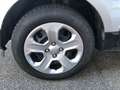 Ford EcoSport EcoSport 1.5 ecoblue Business awd s Zilver - thumbnail 21