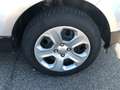 Ford EcoSport EcoSport 1.5 ecoblue Business awd s Zilver - thumbnail 24