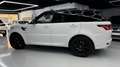 Land Rover Range Rover Sport 5.0 V8 SC HSE Dynamic Aut. Blanc - thumbnail 22