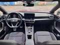 SEAT Leon Leon 1.5 etsi FR 150cv dsg Rosso - thumbnail 14