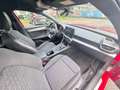 SEAT Leon Leon 1.5 etsi FR 150cv dsg Rosso - thumbnail 13