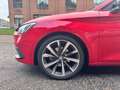 SEAT Leon Leon 1.5 etsi FR 150cv dsg Rosso - thumbnail 10
