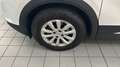 Opel Mokka 1.2 t Edition 100cv Weiß - thumbnail 8