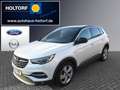 Opel Grandland Innovation KLIMA LED NAVI AHK Blanco - thumbnail 1