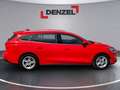Ford Focus Focus Rot - thumbnail 5