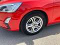 Ford Focus Focus Rot - thumbnail 8