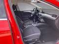 Ford Focus Focus Rot - thumbnail 11