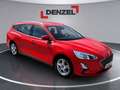 Ford Focus Focus Rot - thumbnail 6