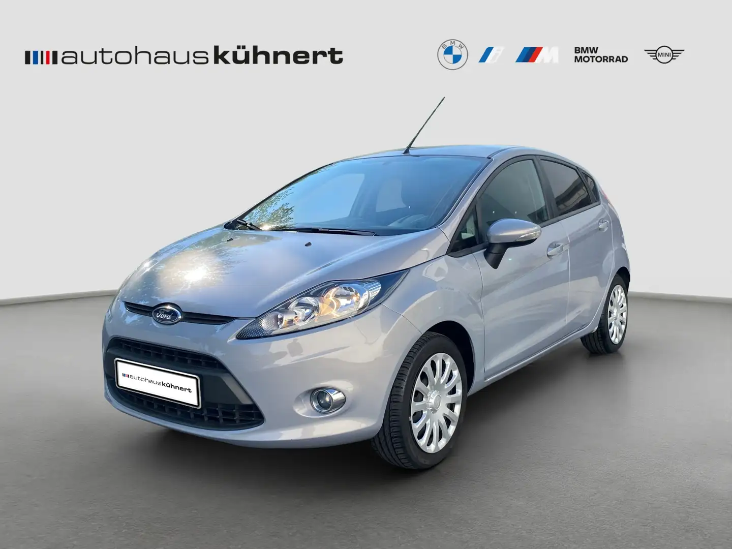 Ford Fiesta 1.25 Trend Grijs - 1