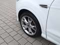 Ford Kuga 2,0 TDCi/Aut./4x4/Pano/Individual Білий - thumbnail 8