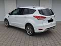 Ford Kuga 2,0 TDCi/Aut./4x4/Pano/Individual Білий - thumbnail 7