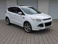 Ford Kuga 2,0 TDCi/Aut./4x4/Pano/Individual Білий - thumbnail 4