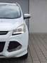 Ford Kuga 2,0 TDCi/Aut./4x4/Pano/Individual Білий - thumbnail 1