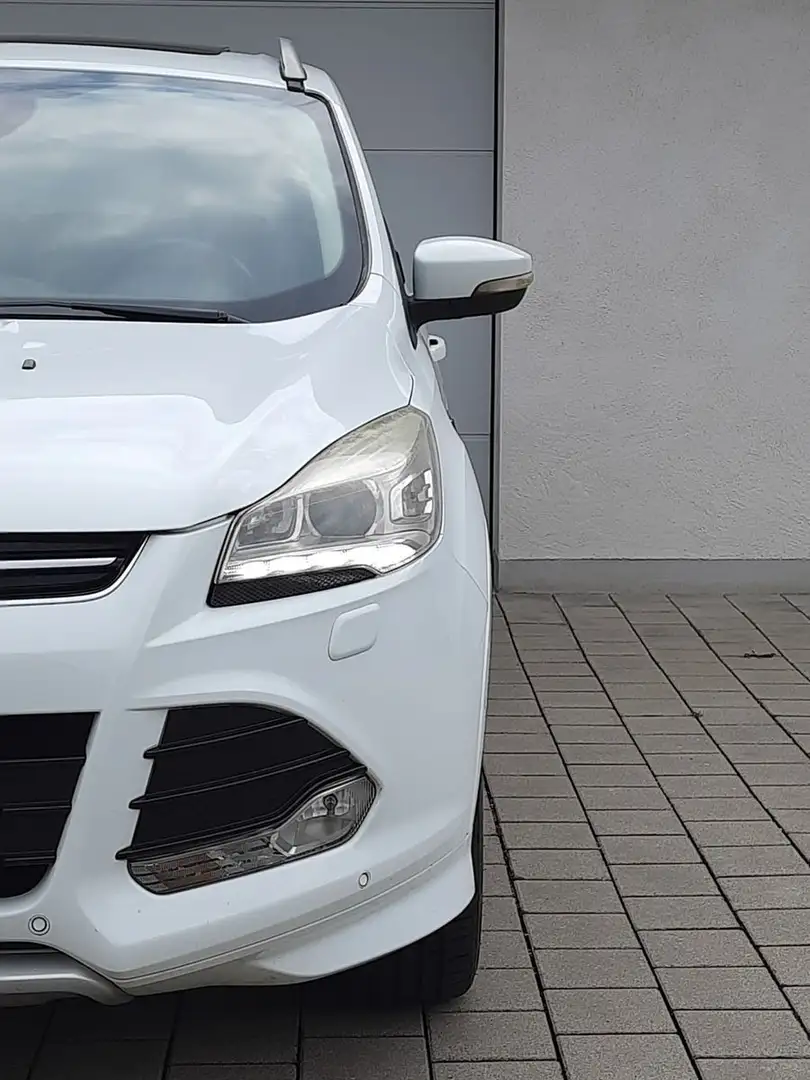 Ford Kuga 2,0 TDCi/Aut./4x4/Pano/Individual Білий - 1