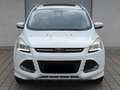Ford Kuga 2,0 TDCi/Aut./4x4/Pano/Individual Білий - thumbnail 3