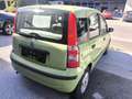 Fiat Panda 1.1 Active Grün - thumbnail 6