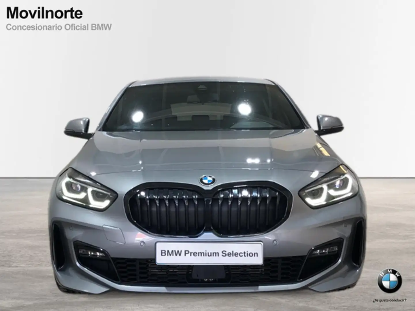BMW 118 118d Gris - 2