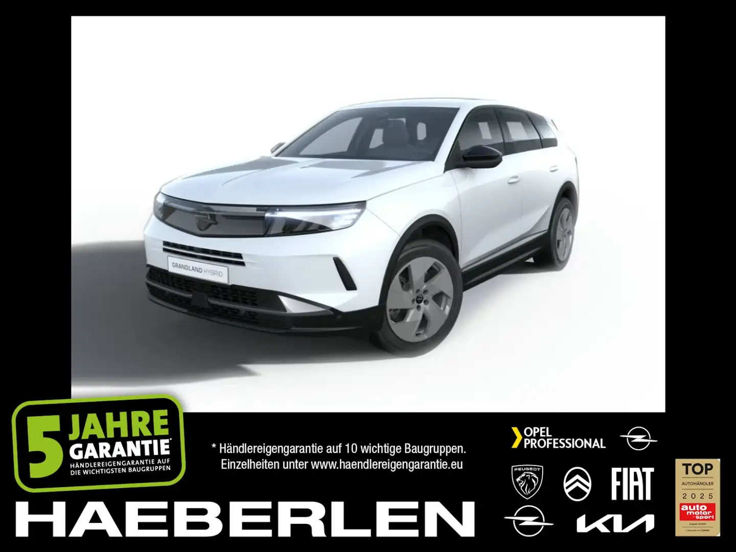 Opel Grandland 100kW 1.2 48V Mild- Edition Weiß - 1
