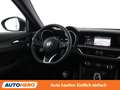 Alfa Romeo Stelvio 2.2 JTDM Ti Q4 Grau - thumbnail 13