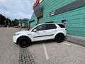 Land Rover Discovery Sport 2.0 D165 Mild-Hybrid Weiß - thumbnail 20