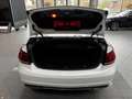 Mercedes-Benz E 250 Cabrio LED Distronic Navi H&K Airscarf Blanc - thumbnail 17