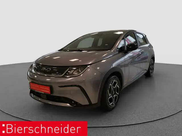 BYD Dolphin Dolphin Comfort Navi ACC 360