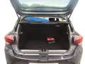 Dacia Sandero Sandero Stepway 1.0 tce Comfort SL DaciaPlus 90cv Gris - thumbnail 15