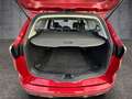 Ford Focus Titanium 1,6 TDCI ST-Line 1.Besitz! Rot - thumbnail 12
