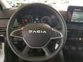 Dacia Sandero Stepway TCe EXPR. Kamera PDC hi-vo Blanc - thumbnail 8