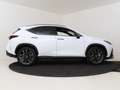 Lexus NX 450h+ AWD F Sport Line | Head-Up Displauy | Sunroof | 36 Blanc - thumbnail 13
