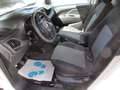 Fiat Doblo 1.3 D Kasten*Pharmaausbau*GDP Van 5`-24' Weiß - thumbnail 10