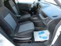 Fiat Doblo 1.3 D Kasten*Pharmaausbau*GDP Van 5`-24' Weiß - thumbnail 12