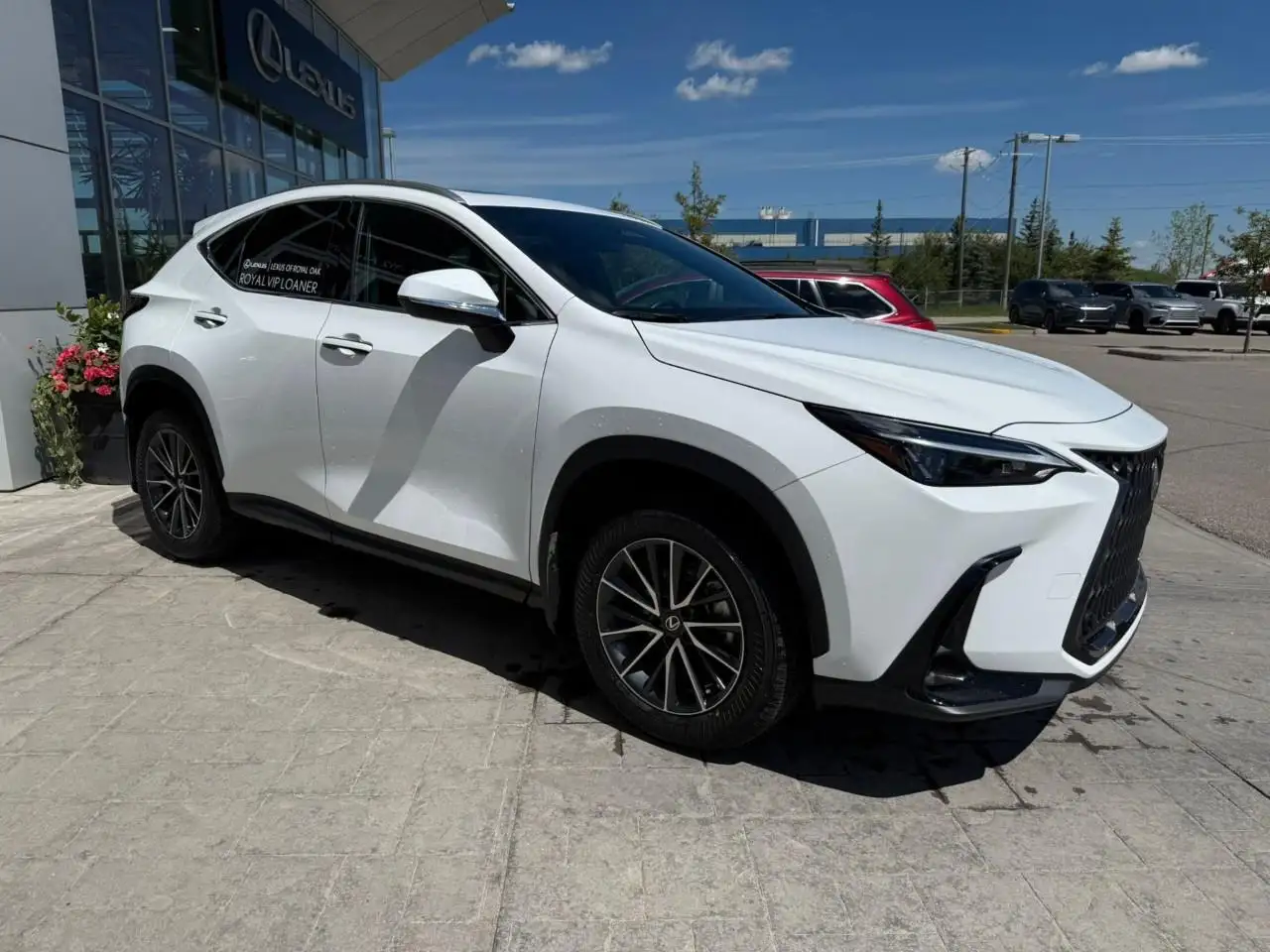 Lexus NX fotografie Lexus NX