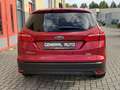 Ford Focus Wagon 1.0 Titanium Edition, AUTOMAAT, Navi... Rosso - thumbnail 6