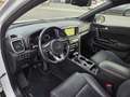 Kia Sportage Sportage 1.6 crdi GT Line awd 136cv dct7 Bianco - thumbnail 7