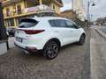 Kia Sportage Sportage 1.6 crdi GT Line awd 136cv dct7 Bianco - thumbnail 6
