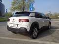 Citroen C4 C4 Cactus 1.2 CAMBIO AUTOMATICO Bianco - thumbnail 2