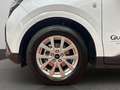Ford Tourneo Courier Titanium Weiß - thumbnail 6