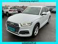 Audi Q5 35 TDI quattro intense S-tronic *S-LINE* Weiß - thumbnail 1