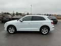 Audi Q5 35 TDI quattro intense S-tronic *S-LINE* Weiß - thumbnail 7
