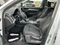 Audi Q5 35 TDI quattro intense S-tronic *S-LINE* Weiß - thumbnail 9