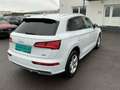 Audi Q5 35 TDI quattro intense S-tronic *S-LINE* Weiß - thumbnail 4