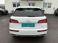 Audi Q5 35 TDI quattro intense S-tronic *S-LINE* Weiß - thumbnail 5