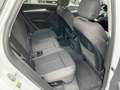 Audi Q5 35 TDI quattro intense S-tronic *S-LINE* Weiß - thumbnail 12