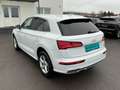 Audi Q5 35 TDI quattro intense S-tronic *S-LINE* Weiß - thumbnail 6