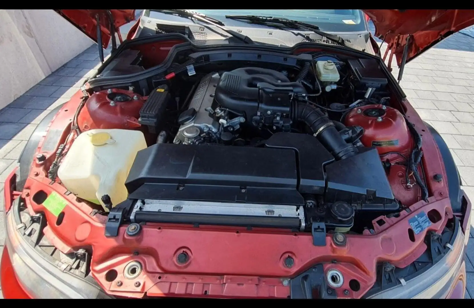 BMW Z3 1.9 Roadster "Siena Red" Rojo - 2